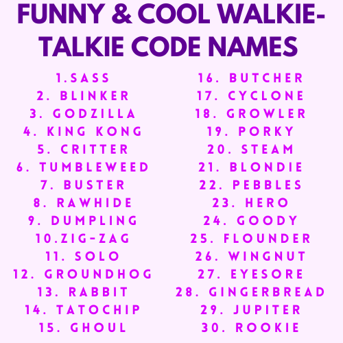 Funny Walkie-Talkie Name for 2023 - Az Funny