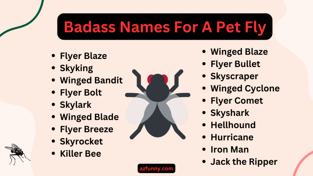100+ Funny Fly Names | (Best, Unique, Cute, Creative Ideas)