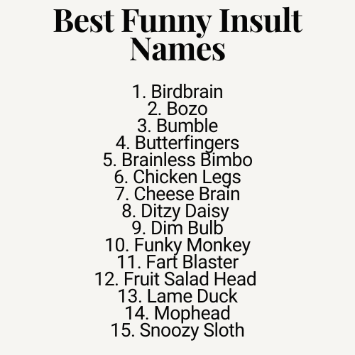 20+ Funny Insult Names (The Ultimate Collection of Belly-Laugh)